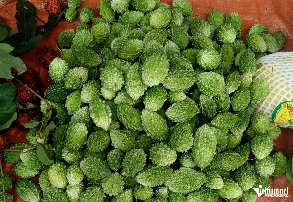 Chợ phiên Tam Văn chiều thứ Năm: Nơi 'cây nhà lá vườn' tạo sinh kế bền vững Chợ phiên Tam Văn chiều thứ Năm: Nơi 'cây nhà lá vườn' tạo sinh kế bền vững