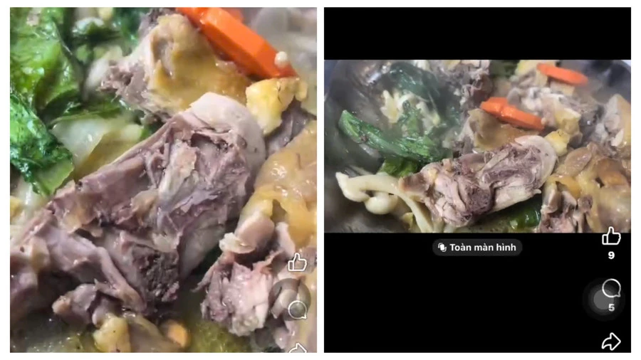 Chủ cơ sở dịch vụ gia chánh bị phạt 27 triệu đồng vì món ăn có dòi Chủ cơ sở dịch vụ gia chánh bị phạt 27 triệu đồng vì món ăn có dòi