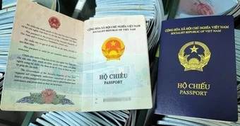 Chủ hộ kinh doanh nợ thuế bao nhiêu tiền sẽ bị tạm hoãn xuất cảnh?