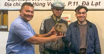 Chủ quán nhậu ở Đà Lạt phát hiện động vật quý hiếm bò vào nhà