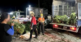 Chủ tịch Hà Nội chỉ đạo kiểm tra vụ chợ 'chui' quy mô lớn hoạt động thâu đêm sau nghĩa trang