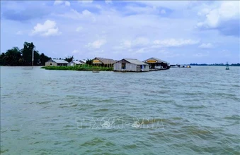 Chủ tịch Ủy ban sông Mê Công Việt Nam là Bộ trưởng Bộ Nông nghiệp và Môi trường
