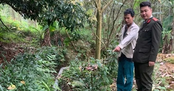 Chủ trang trại lợn bị phạt hơn 100 triệu đồng sau phản ánh gây ô nhiễm