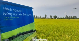 Chuyển đổi xanh là điều kiện bắt buộc với nông nghiệp