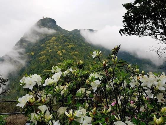 Chuyển giao Vườn quốc gia Ba Vì về UBND thành phố Hà Nội quản lý Chuyển giao Vườn quốc gia Ba Vì về UBND thành phố Hà Nội quản lý