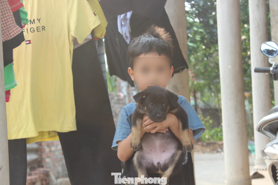 Chuyện lạ ở Phú Thọ: Hai đứa trẻ 7 và 11 tuổi không giấy khai sinh, không được đến trường Chuyện lạ ở Phú Thọ: Hai đứa trẻ 7 và 11 tuổi không giấy khai sinh, không được đến trường