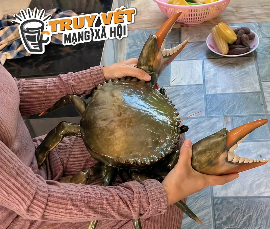Clip con cua 7 kg ở An Giang gây sốt mạng xã hội với 4 , 4 triệu lượt xem Clip con cua 7 kg ở An Giang gây sốt mạng xã hội với 4 , 4 triệu lượt xem