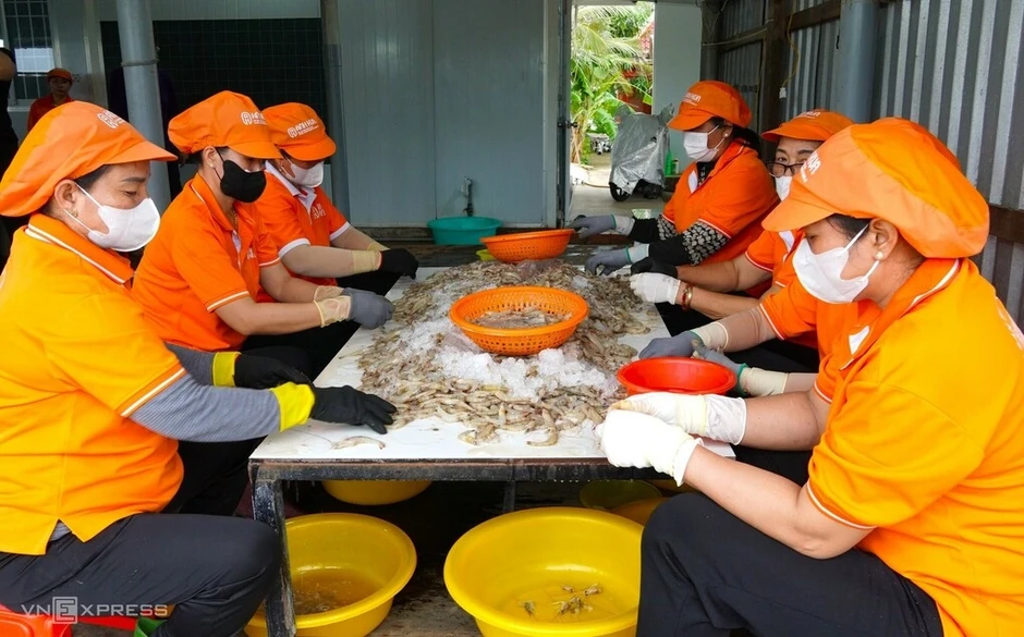 Cô gái bán cua online đưa đặc sản Cà Mau sang Mỹ