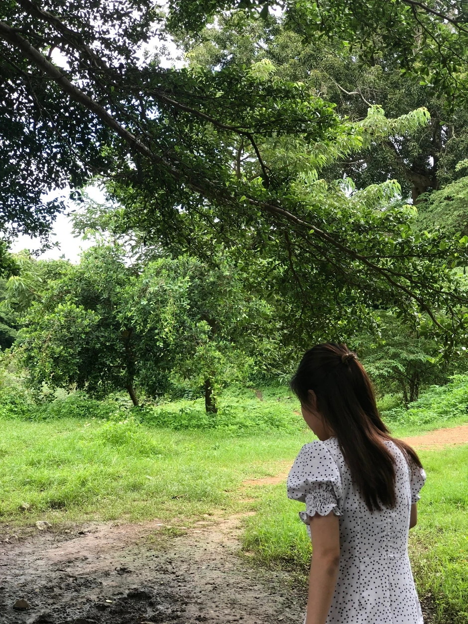 Cô gái tiết kiệm tiền tỷ từ công việc văn phòng Cô gái tiết kiệm tiền tỷ từ công việc văn phòng