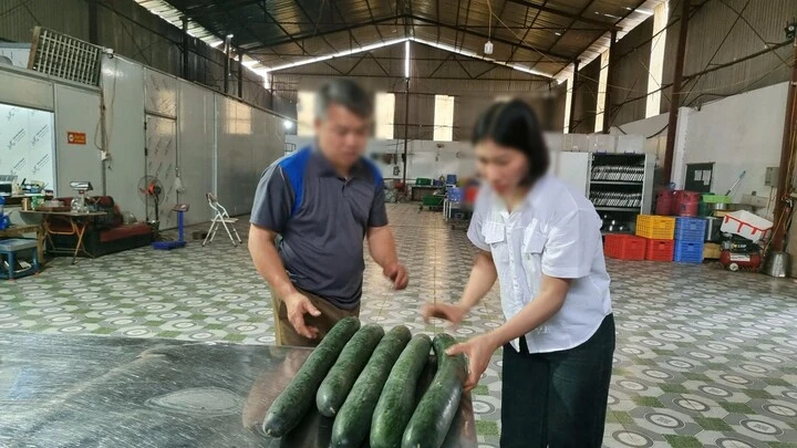 Cơ sở cung cấp thịt lợn nhiễm dịch tả bị phạt 22 , 5 triệu đồng tại trường mầm non hòa bình Cơ sở cung cấp thịt lợn nhiễm dịch tả bị phạt 22 , 5 triệu đồng tại trường mầm non hòa bình