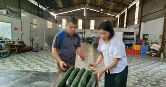 Cơ sở cung cấp thịt lợn nhiễm dịch tả bị phạt 22 , 5 triệu đồng tại trường mầm non hòa bình