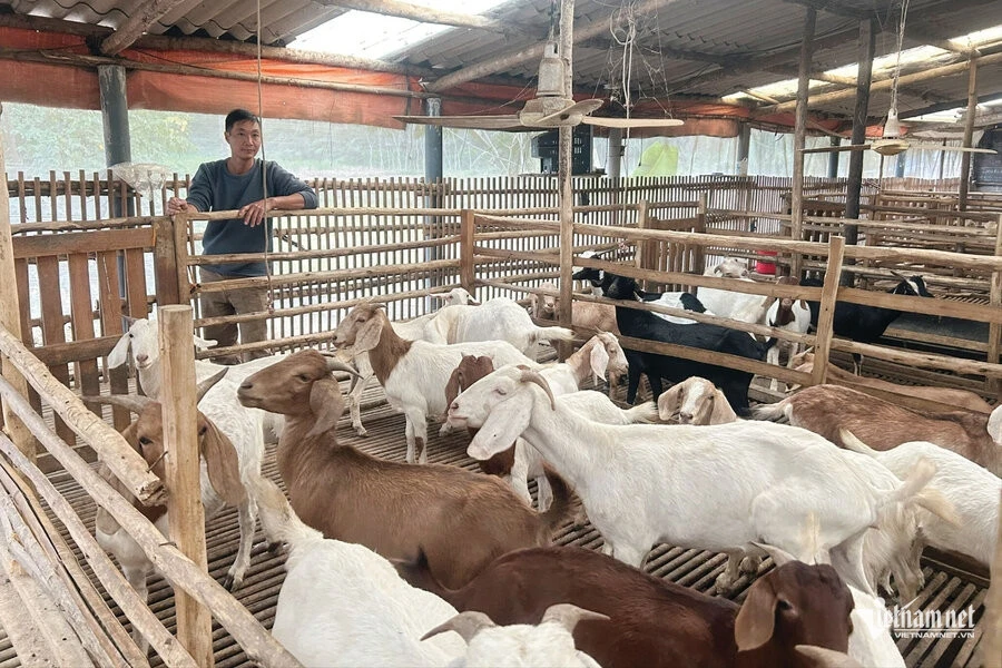 Con đường, sinh kế, mái nhà mới... ở vùng khó:Những chuyển động từ vốn Chương trình MTQG Con đường, sinh kế, mái nhà mới... ở vùng khó:Những chuyển động từ vốn Chương trình MTQG