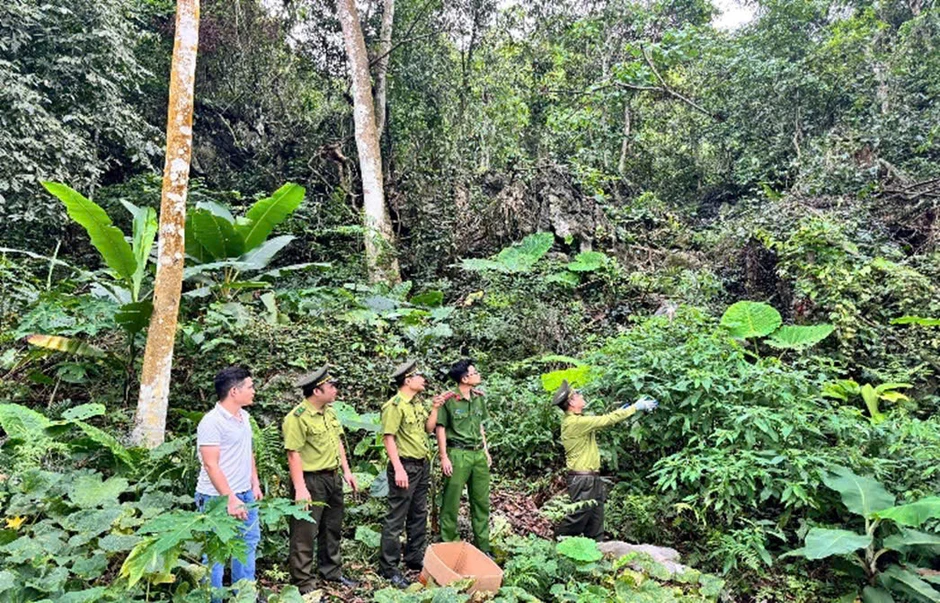 Công an các địa phương liên tiếp giải cứu, tái thả hàng trăm cá thể động vật hoang dã Công an các địa phương liên tiếp giải cứu, tái thả hàng trăm cá thể động vật hoang dã