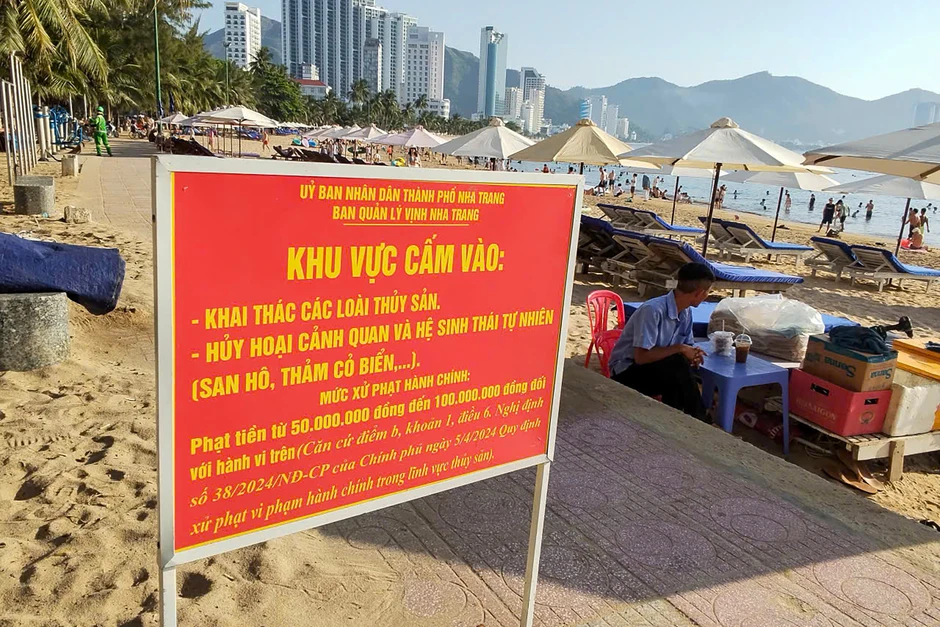 Công an làm việc với nhóm người bẻ, nhặt san hô ở bãi biển Hòn Chồng Công an làm việc với nhóm người bẻ, nhặt san hô ở bãi biển Hòn Chồng