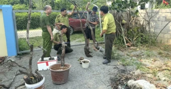 Công an Ninh Bình cảnh báo tình trạng đào trộm, kinh doanh trái phép muội hồng