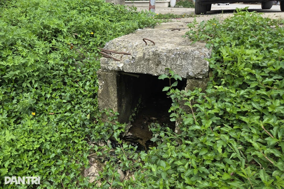 Công an vào cuộc làm rõ vụ cá tự nhiên chết nổi trắng khe ở Thanh Hóa Công an vào cuộc làm rõ vụ cá tự nhiên chết nổi trắng khe ở Thanh Hóa