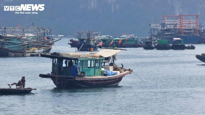 Công bố 35 điểm neo đậu tàu thuyền tại vịnh Hạ Long và Bái Tử Long Công bố 35 điểm neo đậu tàu thuyền tại vịnh Hạ Long và Bái Tử Long