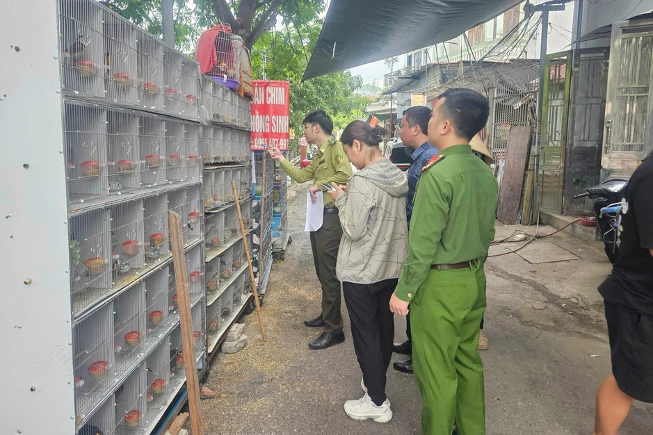 Cục C05 phát động bảo vệ môi trường, đa dạng sinh học tại Cát Hải Cục C05 phát động bảo vệ môi trường, đa dạng sinh học tại Cát Hải
