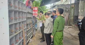 Cục C05 phát động bảo vệ môi trường, đa dạng sinh học tại Cát Hải