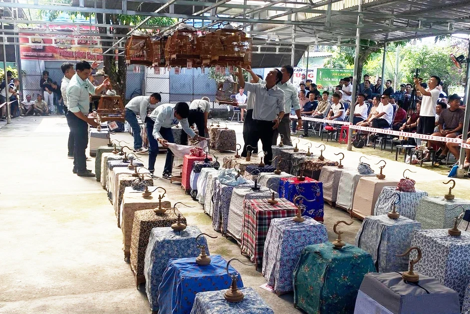 Cuộc thi chim giải thưởng 2 ô tô, 38 xe máy: Đại diện ban tổ chức lên tiếng Cuộc thi chim giải thưởng 2 ô tô, 38 xe máy: Đại diện ban tổ chức lên tiếng