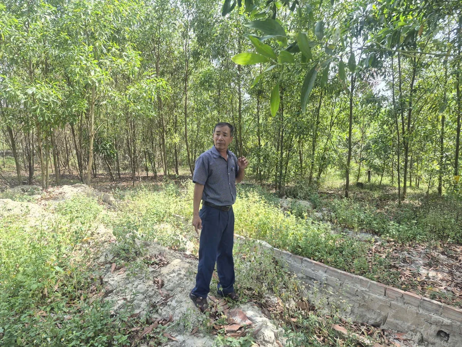 Cựu cán bộ xã xót xa khi mộ con bị di dời: Đà Nẵng giao thanh tra vào cuộc Cựu cán bộ xã xót xa khi mộ con bị di dời: Đà Nẵng giao thanh tra vào cuộc