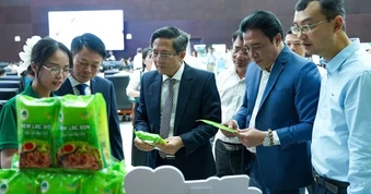 Đà Nẵng thúc đẩy chuyển đổi xanh, hướng tới đô thị sinh thái, thông minh