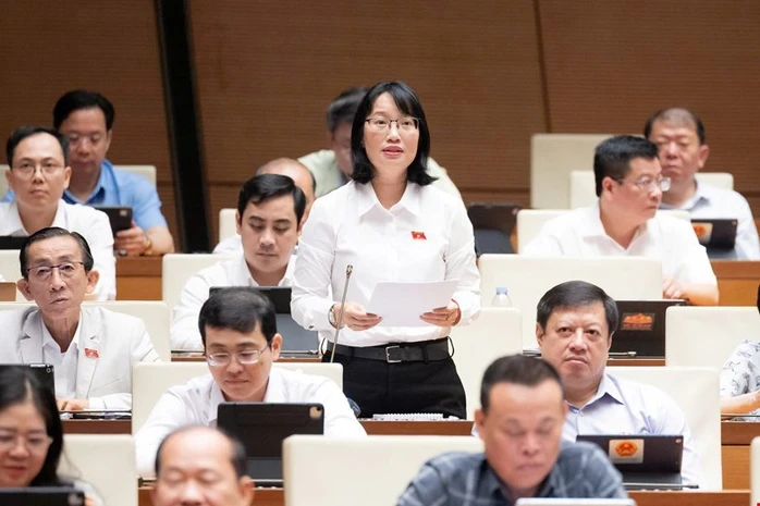 Đại biểu Quốc hội lo ngại khi thiết chế văn hóa ở cơ sở bị thu hẹp Đại biểu Quốc hội lo ngại khi thiết chế văn hóa ở cơ sở bị thu hẹp