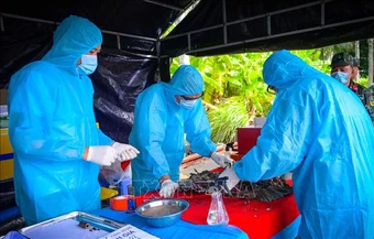 Đằng sau những dấu tích có thể làm nên lịch sử