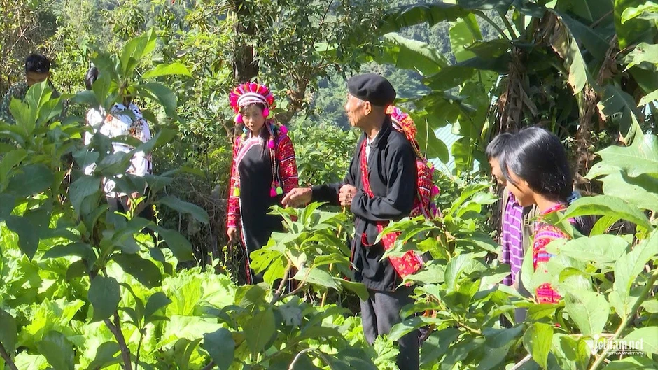 Dấu chân người đảng viên đầu tiên trên vùng cao Pa Ủ Dấu chân người đảng viên đầu tiên trên vùng cao Pa Ủ