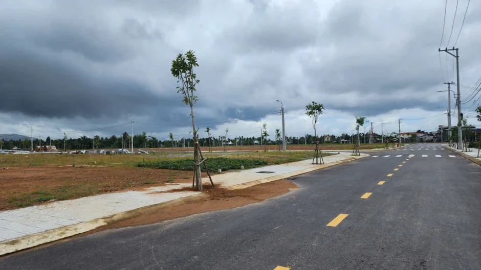 Đấu giá cao bất thường rồi bỏ cọc, 28 lô đất ở Quảng Ngãi bị hủy kết quả Đấu giá cao bất thường rồi bỏ cọc, 28 lô đất ở Quảng Ngãi bị hủy kết quả
