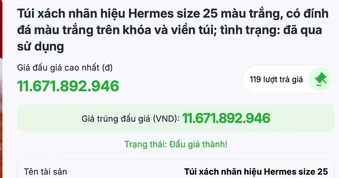Đấu giá thành 2 túi HERMES của bà Trương Mỹ Lan