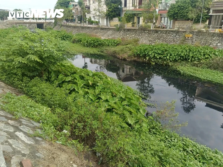 Đầu tư cả trăm tỷ đồng, kênh Bắc ở Nghệ An vẫn đen ngòm, hôi thối