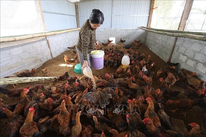 Đẩy nhanh tiến độ triển khai các chương trình mục tiêu quốc gia giai đoạn 2026 - 2030 Đẩy nhanh tiến độ triển khai các chương trình mục tiêu quốc gia giai đoạn 2026 - 2030
