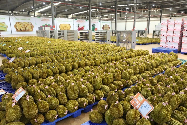 Đề nghị Bộ Công an xử lý việc mua bán mã số, làm sai lệch kết quả kiểm nghiệm nông sản, sầu riêng Đề nghị Bộ Công an xử lý việc mua bán mã số, làm sai lệch kết quả kiểm nghiệm nông sản, sầu riêng