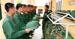 Đề xuất nâng mức trợ cấp cho hạ sĩ quan, binh sĩ xuất ngũ