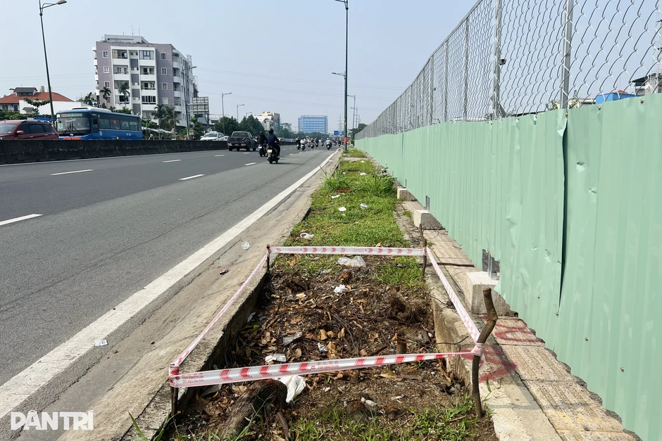 Di dời, đốn hạ 186 cây xanh trên đường Phạm Văn Đồng để làm Vành đai 2