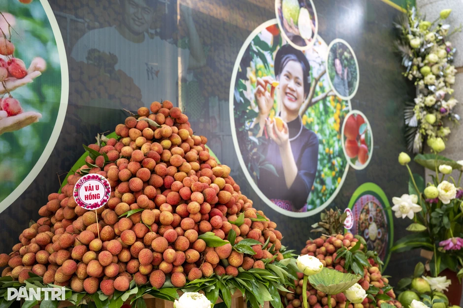 Đi tìm câu trả lời chiến lược cho chất lượng trái vải thiều Bắc Ninh Đi tìm câu trả lời chiến lược cho chất lượng trái vải thiều Bắc Ninh