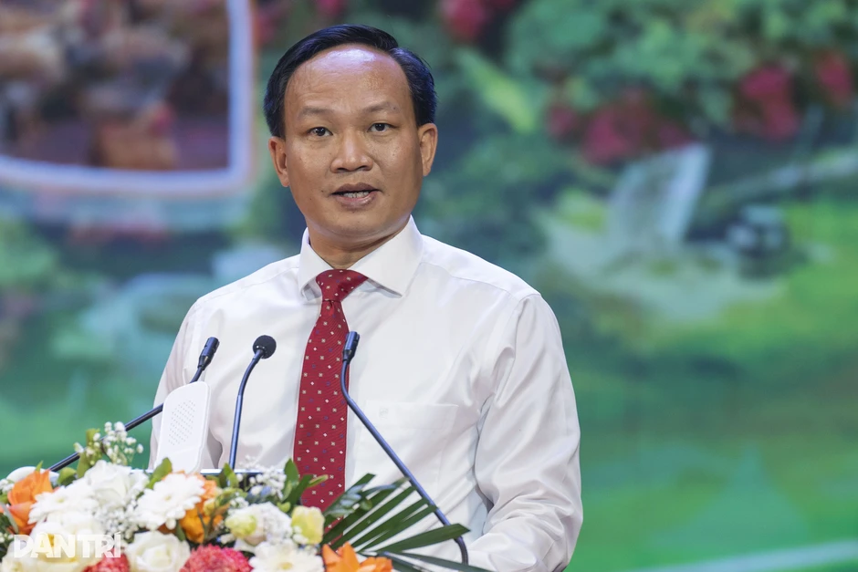 Đi tìm câu trả lời chiến lược cho chất lượng trái vải thiều Bắc Ninh Đi tìm câu trả lời chiến lược cho chất lượng trái vải thiều Bắc Ninh