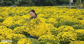 Địa phương đầu tiên ở Vĩnh Long đưa hoa kiểng, cây giống lên TikTok Shop