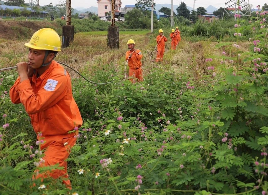 Điểm nghẽn điện lưới vùng cao: Dòng điện yếu ‘kìm chân’ sinh kế Điểm nghẽn điện lưới vùng cao: Dòng điện yếu ‘kìm chân’ sinh kế