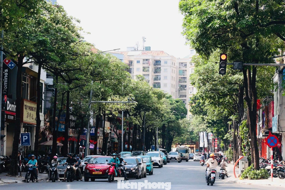 Diện mạo đường phố Hà Nội thay đổi sau cắt tỉa hoa sữa năm 2026 Diện mạo đường phố Hà Nội thay đổi sau cắt tỉa hoa sữa năm 2026
