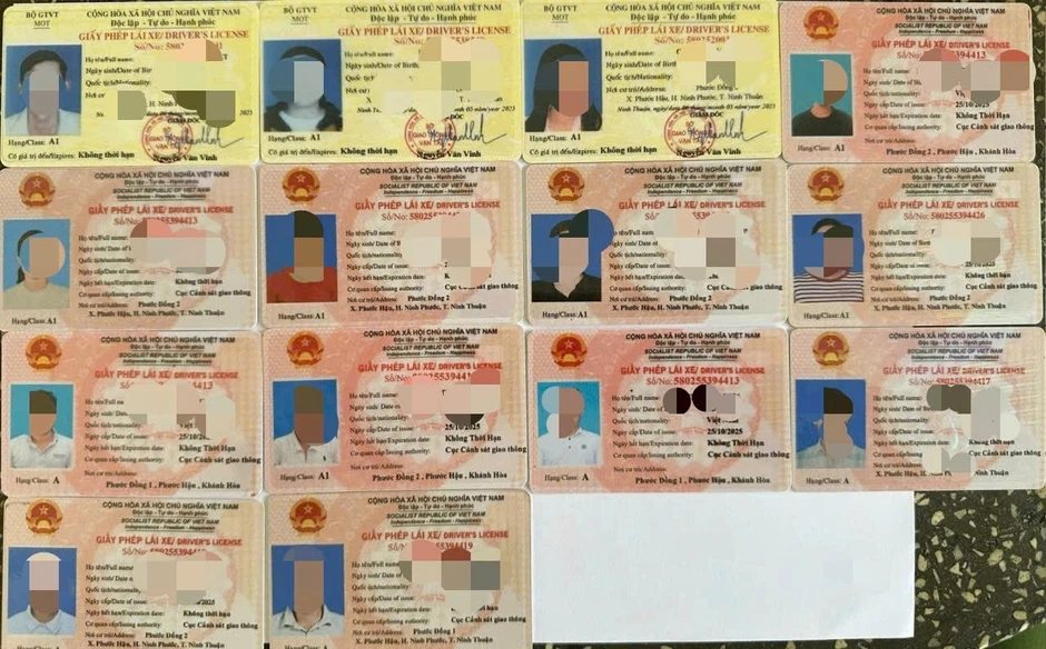 Đôi bạn học lập đường dây làm giả GPLX, hứa '10 ngày có bằng' Đôi bạn học lập đường dây làm giả GPLX, hứa '10 ngày có bằng'
