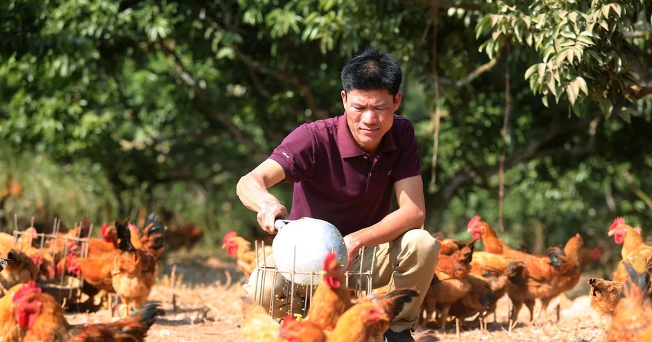 Đổi mới cách tổ chức nguồn lực và phương thức thực hiện