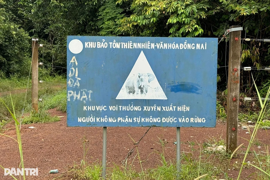 Đồng Nai đánh giá hiệu quả dự án hàng rào điện ngăn voi