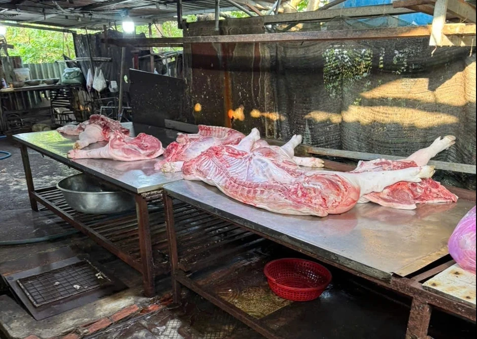 Đột kích 2 lò giết mổ heo 'chui' trong hẻm sâu ở TP.HCM Đột kích 2 lò giết mổ heo 'chui' trong hẻm sâu ở TP.HCM