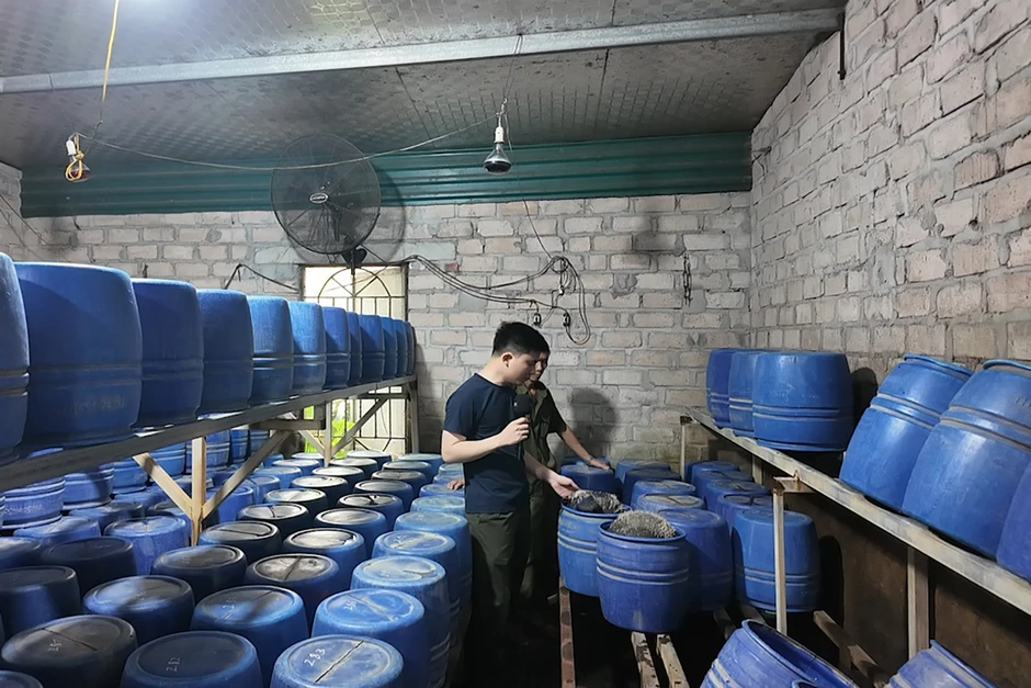 Đột kích loạt xưởng sản xuất hàng tấn giá đỗ dùng chất cấm ở Quảng Ninh Đột kích loạt xưởng sản xuất hàng tấn giá đỗ dùng chất cấm ở Quảng Ninh
