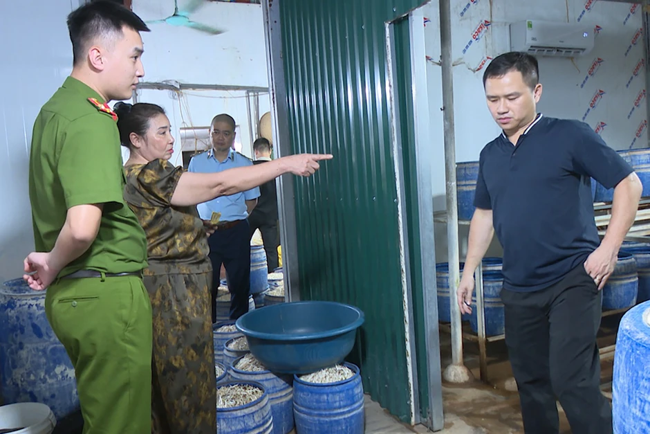 Đột kích loạt xưởng sản xuất hàng tấn giá đỗ dùng 'nước kẹo' ở Quảng Ninh Đột kích loạt xưởng sản xuất hàng tấn giá đỗ dùng 'nước kẹo' ở Quảng Ninh