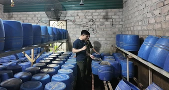 Đột kích loạt xưởng sản xuất hàng tấn giá đỗ dùng 'nước kẹo' ở Quảng Ninh