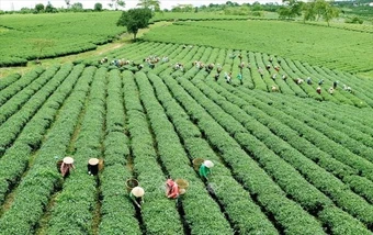 Đột phá thể chế, khơi thông nguồn lực cho mô hình phát triển mới