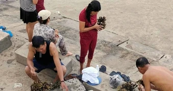 Du khách đi tắm biển bẻ san hô mang về làm kỷ niệm